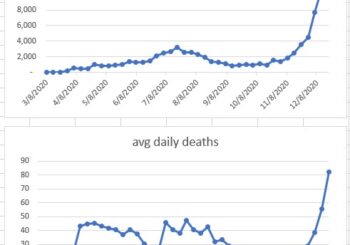 7-day average of daily LA County COVID-19 cases and deaths calculated on Sundays